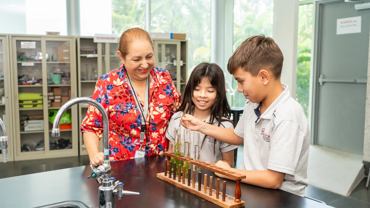 Política de salvaguarda